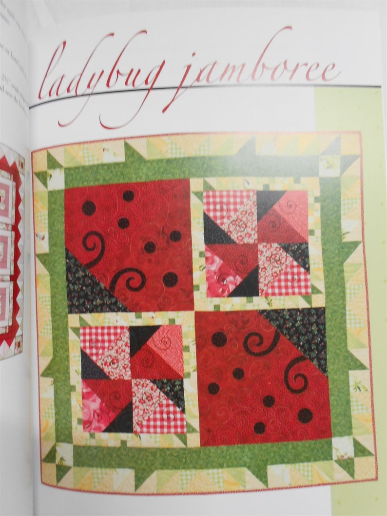 Book1864 Spotlight on Scraps-10 Pretty Quilts/Cindi Walker/develop color schemes/strip piecing/folded corners/fusible applique techniques image 10