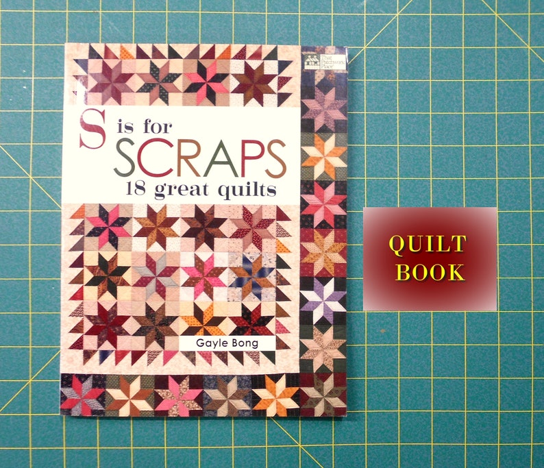 Book2334 S is for Scraps-18 great quilts Gayle Bong/picking fabrics for scrap quilting/bright/vibrant/traditional/star triangle nine patch image 1