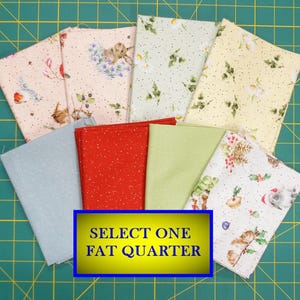 Fabric-Fat Quarter approx 18x21"/Bramble Patch fabrics and Furry Friends both by Hanna Dale/Maywood/birds/animals/daisy daisies/dots/snow