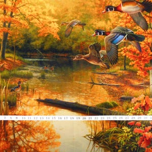 May include: A painting of a woodland scene with a pond and five wood ducks. The ducks are flying and swimming in the pond. The trees are in autumn colors of red, orange, and yellow. The pond is surrounded by green grass and reeds.