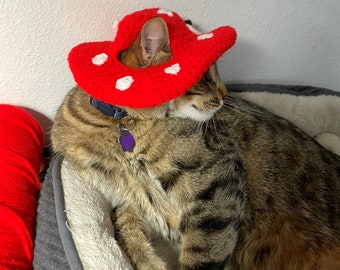 Cat Mushroom Hat Crochet Pattern