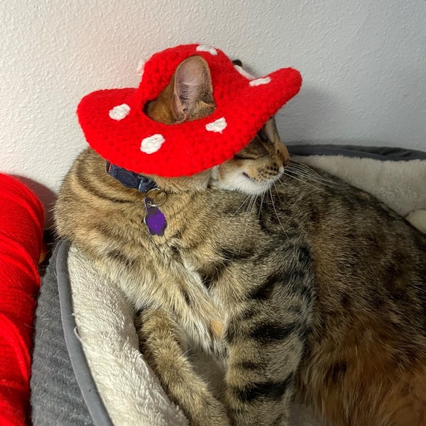 Cat Mushroom Hat Crochet Pattern