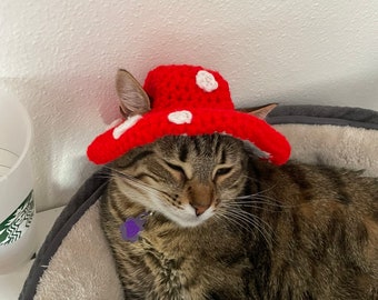 Kitty Cat Mushroom Hat