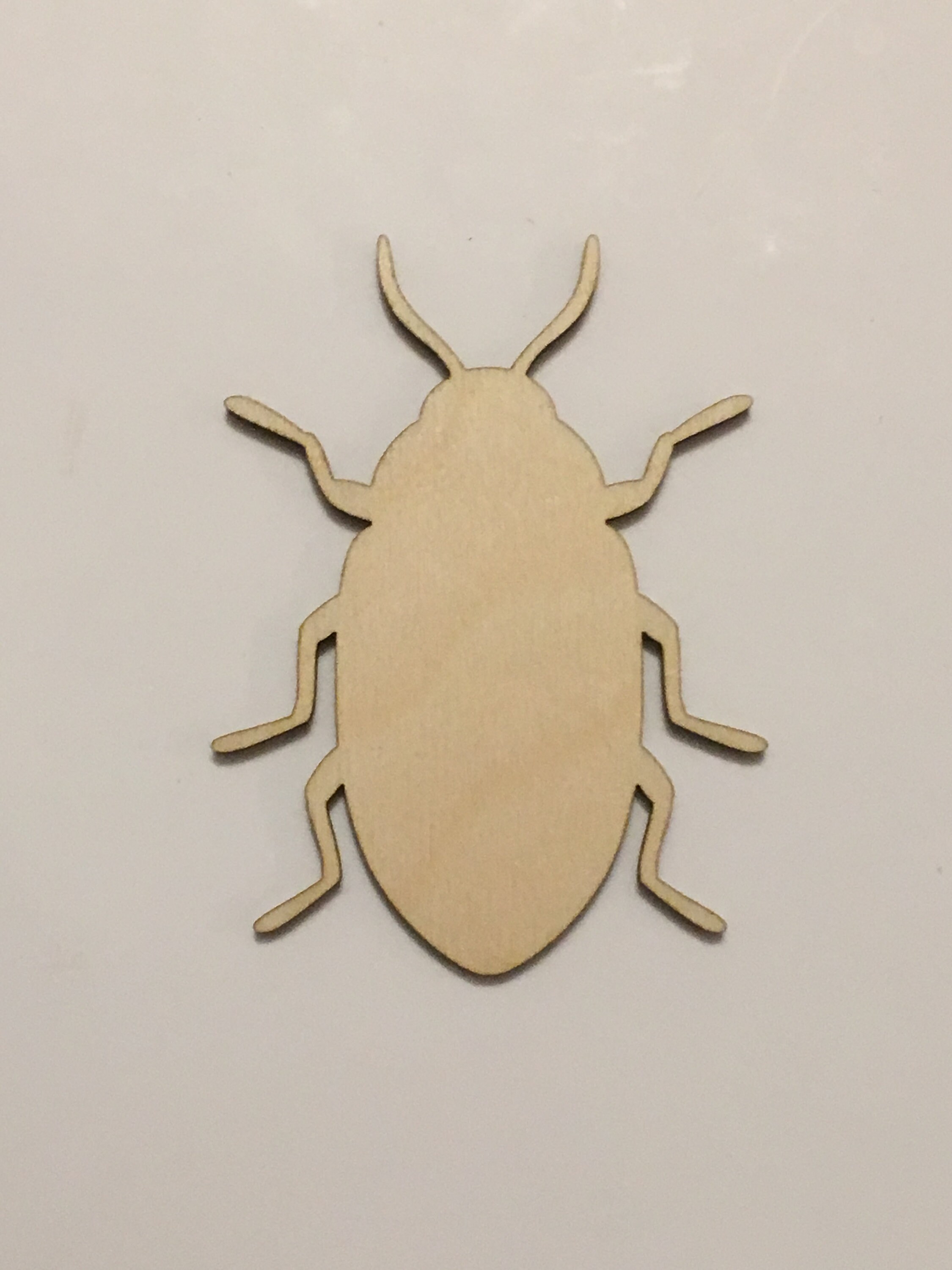 Wooden Beetle Cutout, Insect Laser Cut Wood, A141