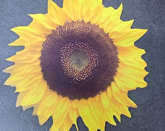 May include: A yellow sunflower with a dark brown center. The sunflower is on a gray background.
