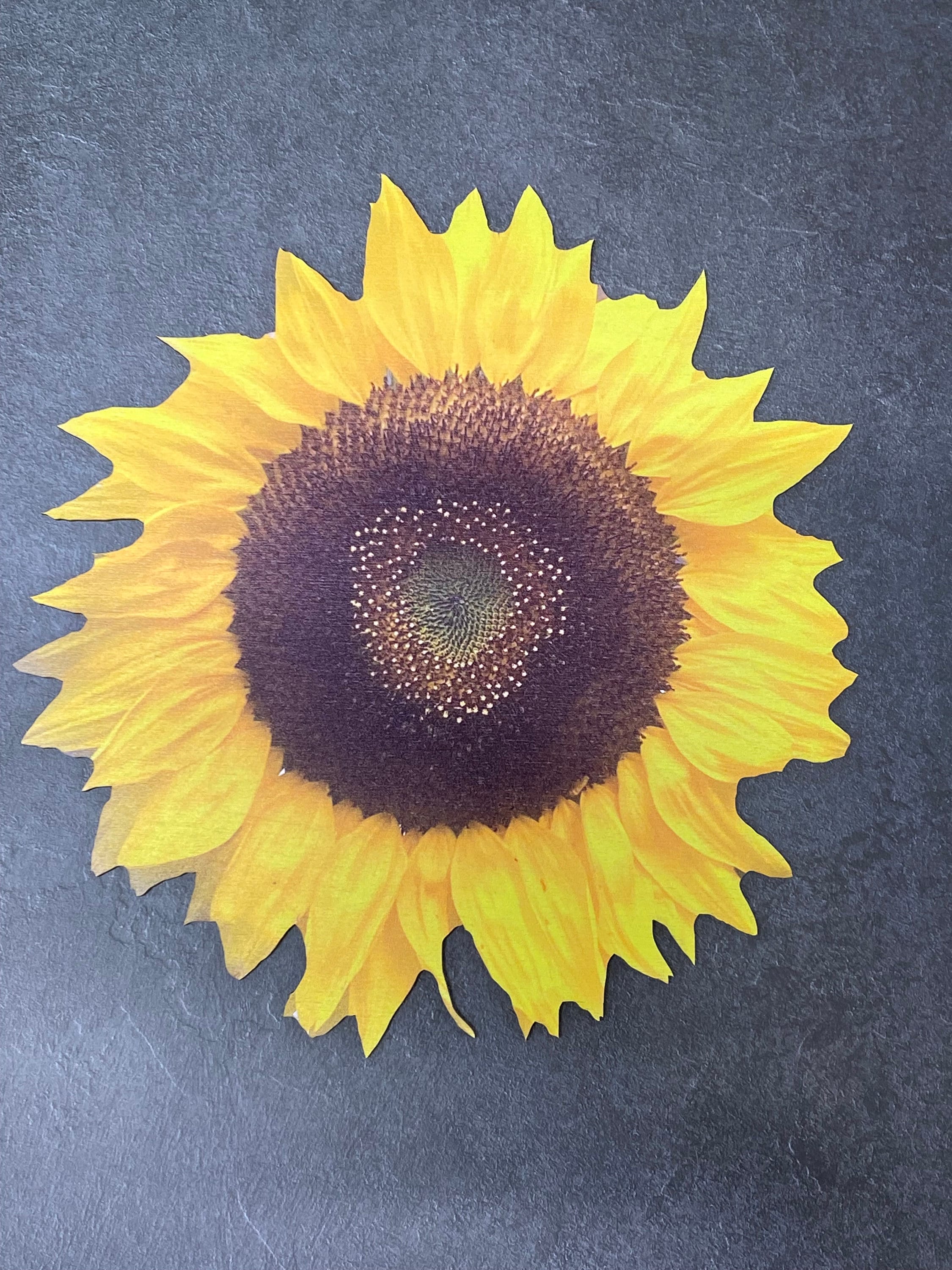 BOHO SUNFLOWER Stencil for Painting on Wood, Canvas, Furniture