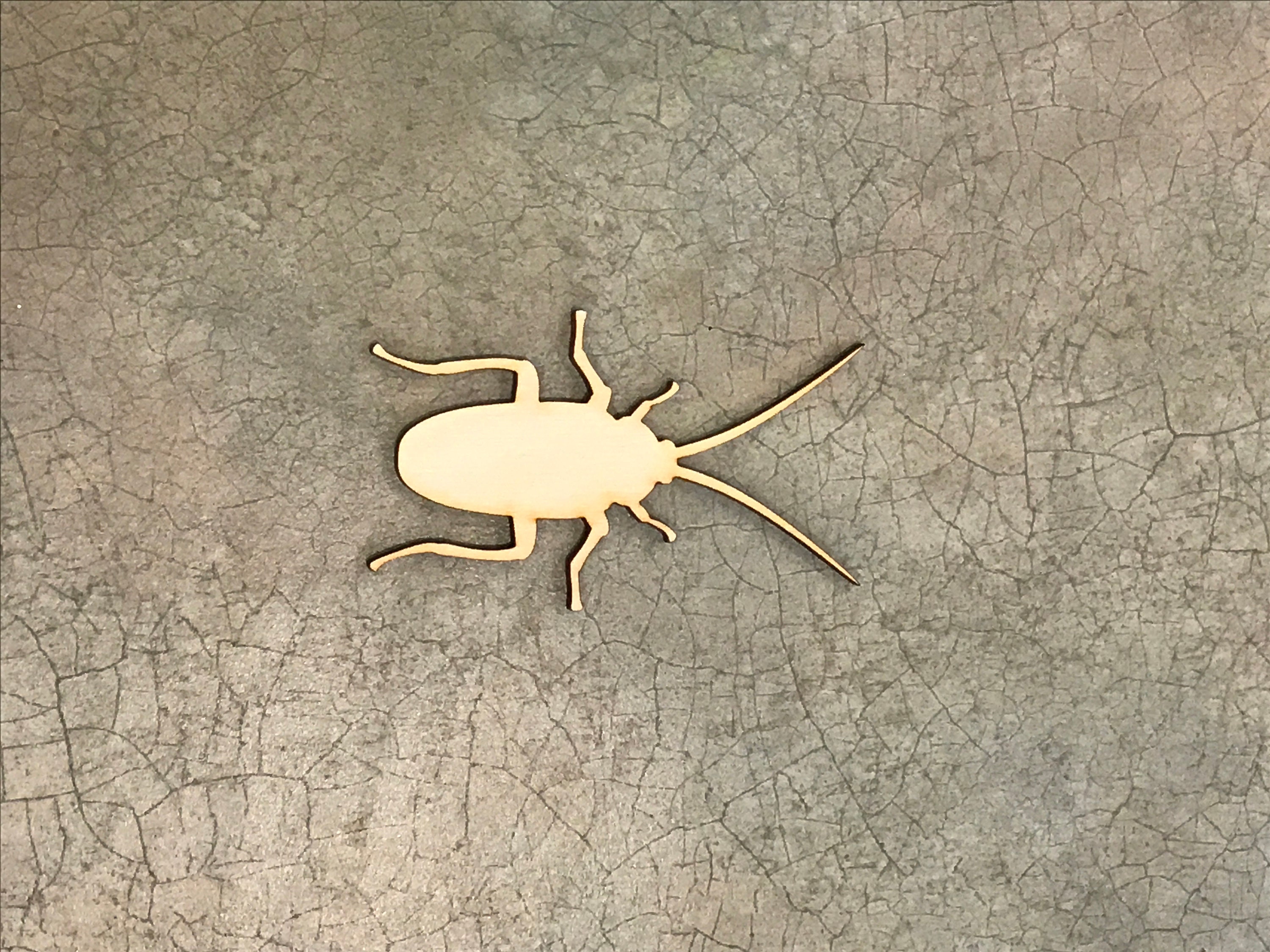 Cockroach, Bug, Roach, Laser Cut Wood, Multiple Thickness, Sizes