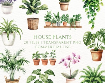 House Plants Clipart, Watercolor Plants Home Decor, Flower Clip Art, Indoor Plant PNG, Commercial Use Greenery, Snake Plant, Orchid, Cactus