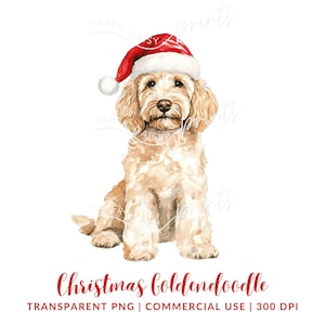 Puede incluir: Ilustración en acuarela de un perro Goldendoodle con un gorro de Papá Noel rojo y blanco. El perro está sentado con las patas delanteras hacia adelante. El texto "Christmas Goldendoodle" está escrito en rojo debajo.