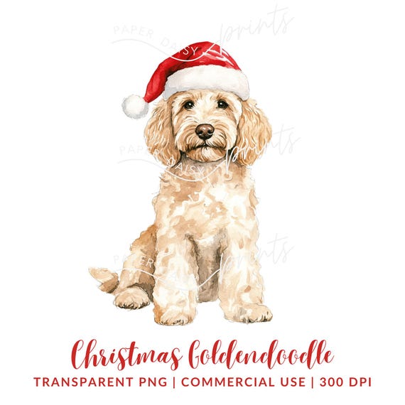 Goldendoodle Clipart, Christmas Dog PNG, Watercolor Golden Doodle, Santa Hat Dog, Digital Download, Commercial Use