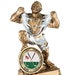 see more listings in the Trophies & Awards section