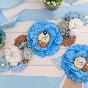 Teddy Bear Baby Shower Sash, Maternity Sash Belt, Brown Bear Mom To Be Sash, Teddy Baby Bump Sash, Bear Baby Sprinkle Sash, Mama To Be Sash