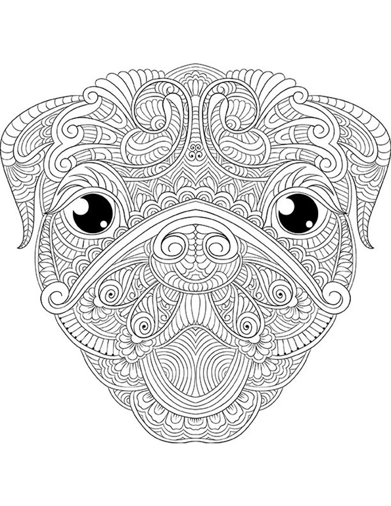 143 Animal Etsy Free Coloring Pages for Kids