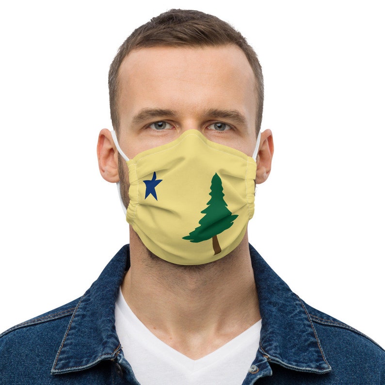 Original Maine Flag Face Mask Original Maine Flag Mask Etsy