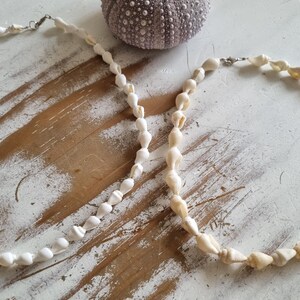 May include: A white shell necklace with a silver clasp, and a gray sea urchin. The necklace is made of small, white shells. The sea urchin is round and has a textured surface. The background is a distressed white and brown surface.