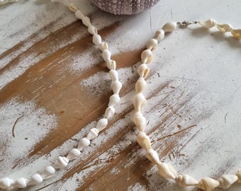 Kleine Muschelkette, Muschelkette, Muschelkette, Muschelkette