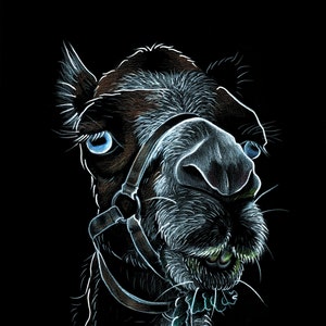 Graphic camel print - camel art, wall art, home decor, desert illustration, animal portrait