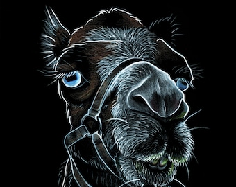 Graphic camel print - camel art, wall art, home decor, desert illustration, animal portrait