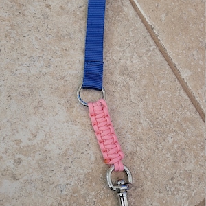 Lead /leash