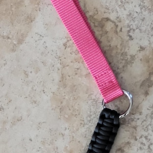 Lead /leash