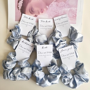 Coleteros de satén azul claro para dama de honor, regalo de propuesta de dama de honor, tarjeta para guardar y llevar, recuerdo de la fiesta nupcial, coletero para damas de honor