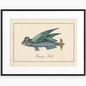 Funny Vintage Fish Print, Surreal Joke Flying Fish, Quirky Vintage Art, Bizarre Bathroom Wall Print