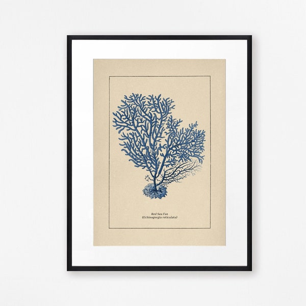 Blue Coral Print, Sea Fan Print, Bathroom Decor, Bathroom Print, Beach House Decor, Coastal Decor, blue wall art