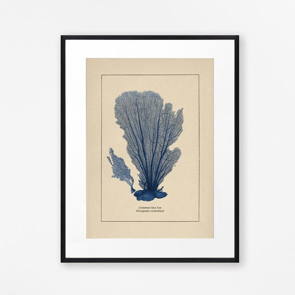 Blue Coral Print, Sea Fan Print, Bathroom Decor, Bathroom Print, Beach House Decor, Coastal Decor, blue wall art