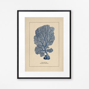 Blue Coral Print Sea Fan Print Bathroom Decor Bathroom Print Beach House Decor Coastal Decor, blue wall art