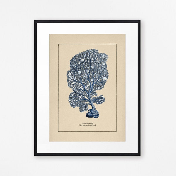 Blue Coral Print, Sea Fan Print, Bathroom Decor, Bathroom Print, Beach House Decor, Coastal Decor, blue wall art