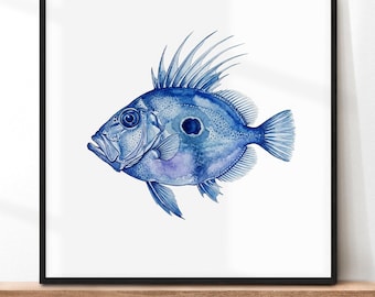 John Dory Fish Print | Blue Watercolour Coastal Kitchen Wall Art | Sea Angler Gift | Seafood Restaurant Decor | Ocean Fish Painting
