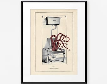 Vintage Octopus Print Funny Toilet Wall Art Funny Cloakroom Wall Art Vintage Gothic Art Steampunk Bathroom Wall Print