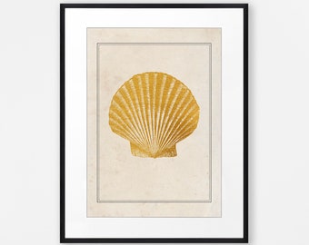 Vintage Sea Shell Print Bathroom Wall Art Scallop Wall Print Classic Coastal Wall Art Vintage Aquatic Print