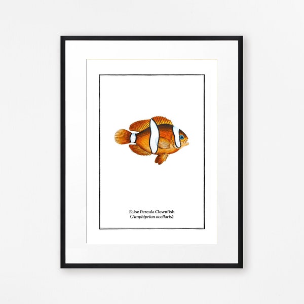 Vintage Clownfish Print Colourful Sea Fish Art Vintage Aquatic Illustation