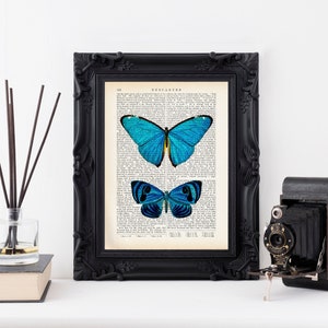 Könnte beinhalten: Ein schwarzer gerahmter Druck von zwei blauen Schmetterlingen auf einer alten Buchseite. Der Text auf der Seite lautet "DESCARTES".