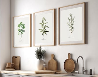 Herb Garden Botanical Print Set for Vintage Kitchen Decor Rustic Green Wall Art Gift for Keen Cook Birthday Present for Garden Room  Decor