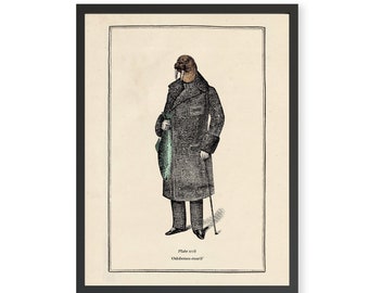 May include: A vintage illustration of a walrus wearing a long black coat and holding a cane. The image is in black and white with some colour accents. The text "Plate x.vi" and "Odobenus rosmarus" is printed below the image.