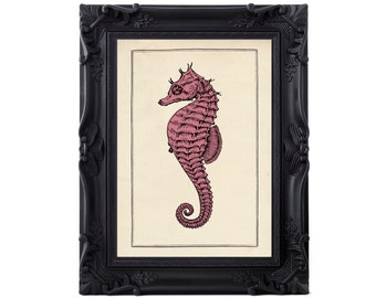 Vintage Seahorse Print, Bathroom Wall Art, Gothic Wall Art, Vintage Aquatic Illustration , Steampunk Wall Print