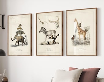Surreal Animal Art Set of 3 Print Vintage Posters Funny Animal Prints for Kid's Room Wall Art for Nursery Fun Whimsical Art for Jungle Decor