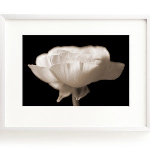 Poppy Print Floral Wall Art Black and White Art Flower - Etsy