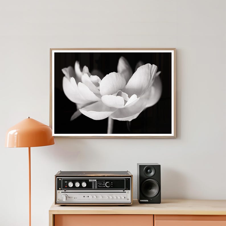 May include: Black and white photograph of a large, open flower with delicate petals. The flower is centered in the frame, set against a dark background. The image is framed in a light-colored wooden frame, creating a striking contrast.