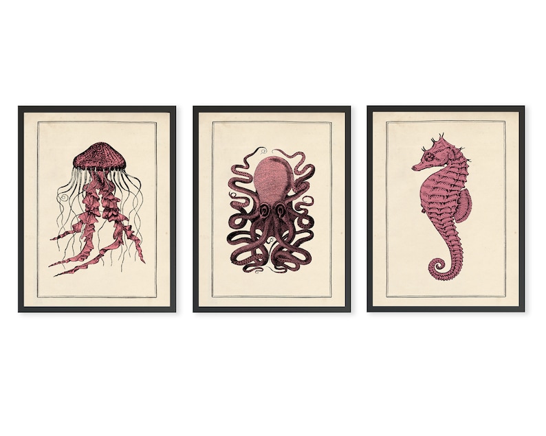 Vintage Bathroom Print Set Antique Sealife Prints Set of 3 Etsy UK