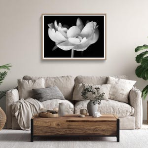 May include: Black and white framed print of a flower. The flower is in full bloom, with soft, textured petals against a dark background. The print is displayed above a beige sofa with decorative pillows and a wooden coffee table.