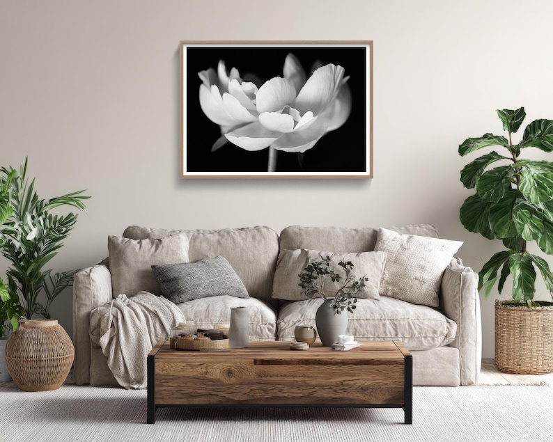 May include: Black and white framed print of a flower. The flower is in full bloom, with soft, textured petals against a dark background. The print is displayed above a beige sofa with decorative pillows and a wooden coffee table.