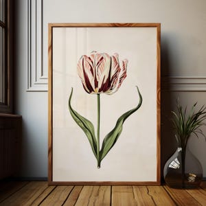 Botanisk väggkonst Vintage tulpantryck Vårdekoration Vardagsrumsinredning oramad Rosa Röd Blomma Naturkonst Sovrum Heminredning Blommor bild 4