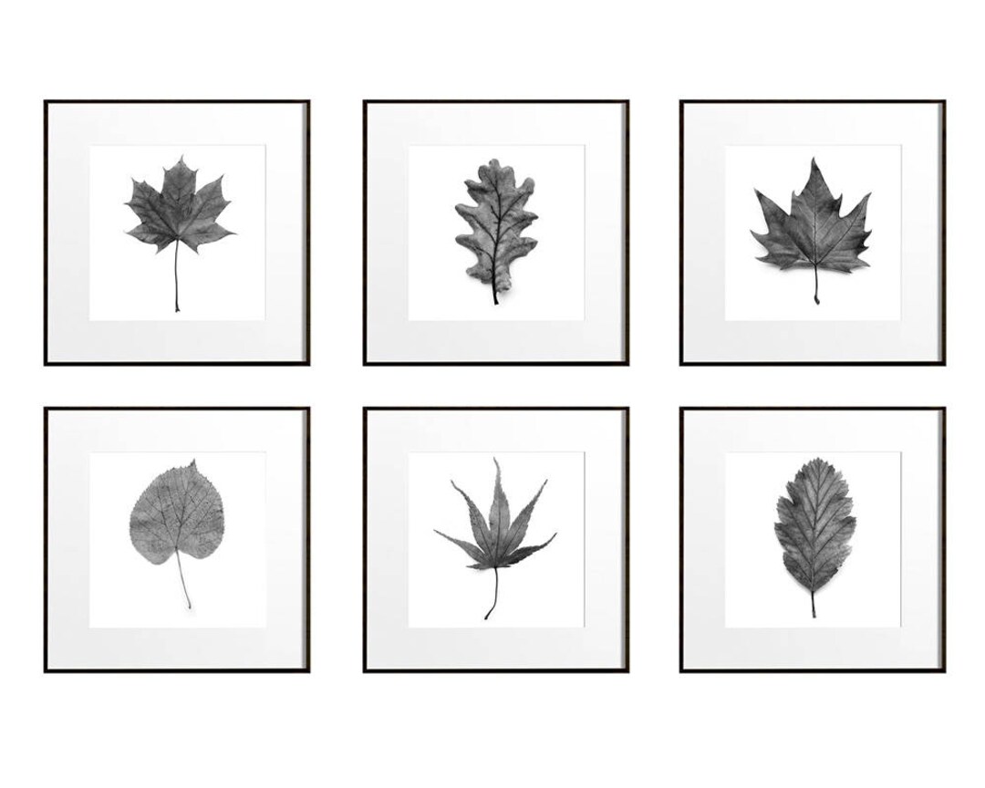 Large Botanical Prints Leaf Art Prints Botanical Wall Art Set of 6