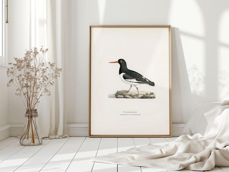Seabird Watercolor Print Coastal Bird Wall Art Nautical Bathroom Beach ...