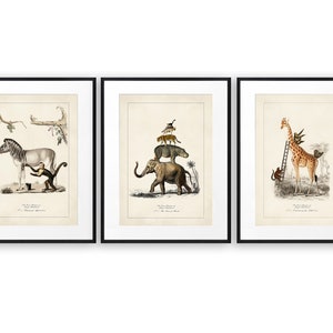 Surreal Animal Art, Set of 3 Prints, Vintage Posters, Funny Animal Posters