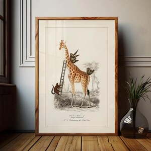 May include: A framed print featuring a giraffe with a ladder, monkeys, and sloths. The giraffe has brown spots and is standing in a savanna scene. The print has text at the bottom: "The Secret Business of Jungle Scholars". The frame is made of wood.
