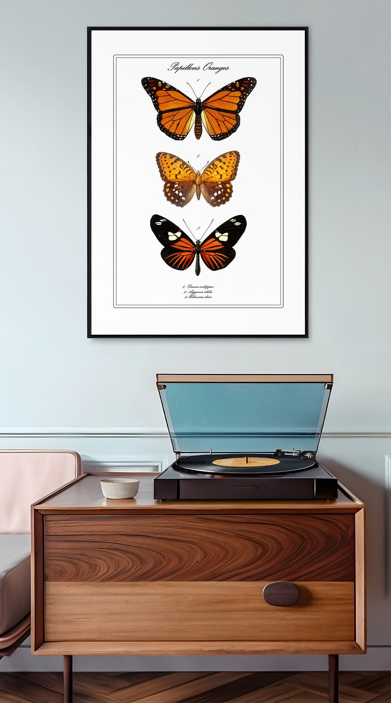 May include: A framed print of three orange butterflies with black markings. The print is titled "Papillons Oranges" and includes the scientific names of the butterflies.
